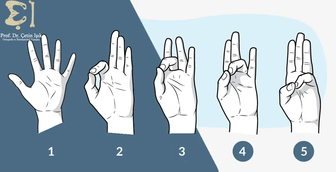 The finger touches exercise is performed by making the thumb touch the index finger, then the middle finger, then the ring finger, then the little finger