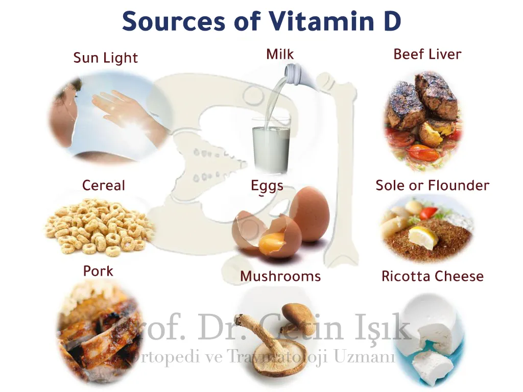 The sources of vitamin D are many and varied. It is found in some foods more than others, such as eggs, fish, milk, and mushrooms